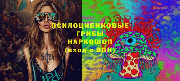 ПСИЛОЦИБИНОВЫЕ ГРИБЫ Вязьма