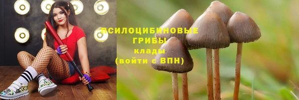 мяу мяу мука Вяземский