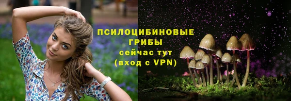 меф Анива