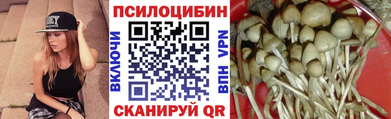 как найти наркотики  Суоярви  Псилоцибиновые грибы GOLDEN TEACHER 